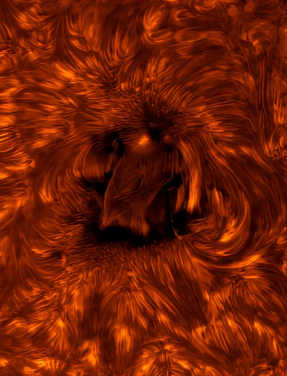 Abstract orange and brown swirling patterns.
